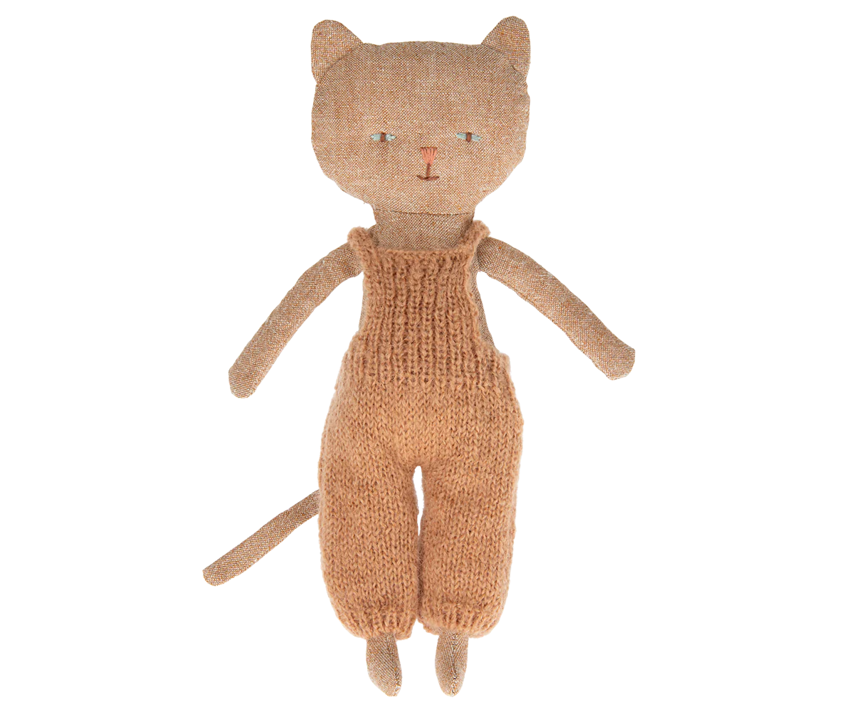 Gattino - Ginger