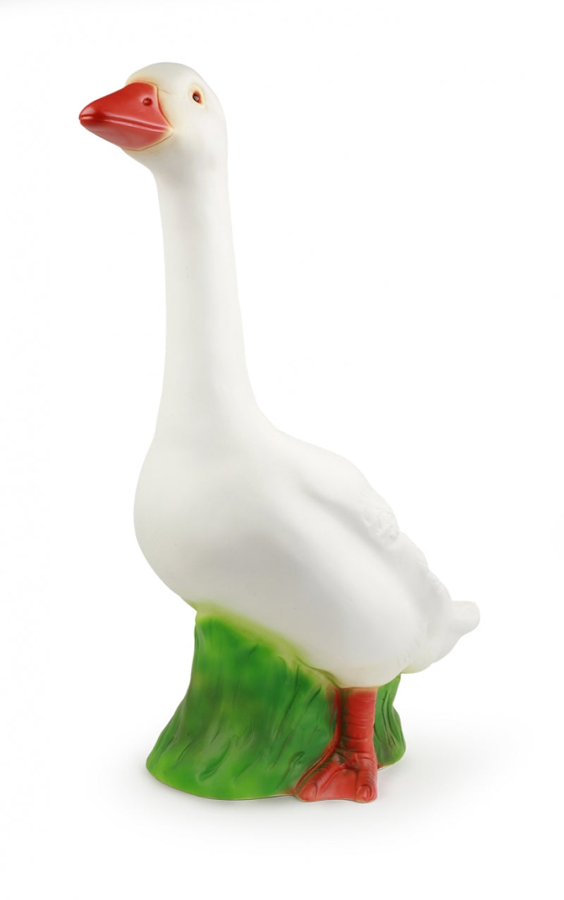 Lampada Oca Grande
