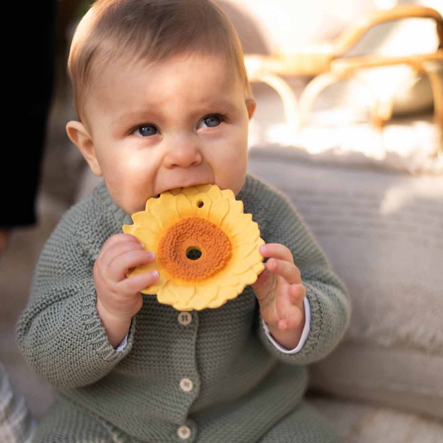 Massaggiagengive Sun The Sunflower