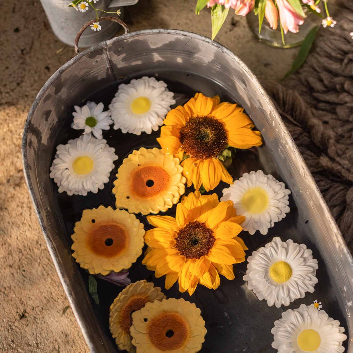 Massaggiagengive Sun The Sunflower