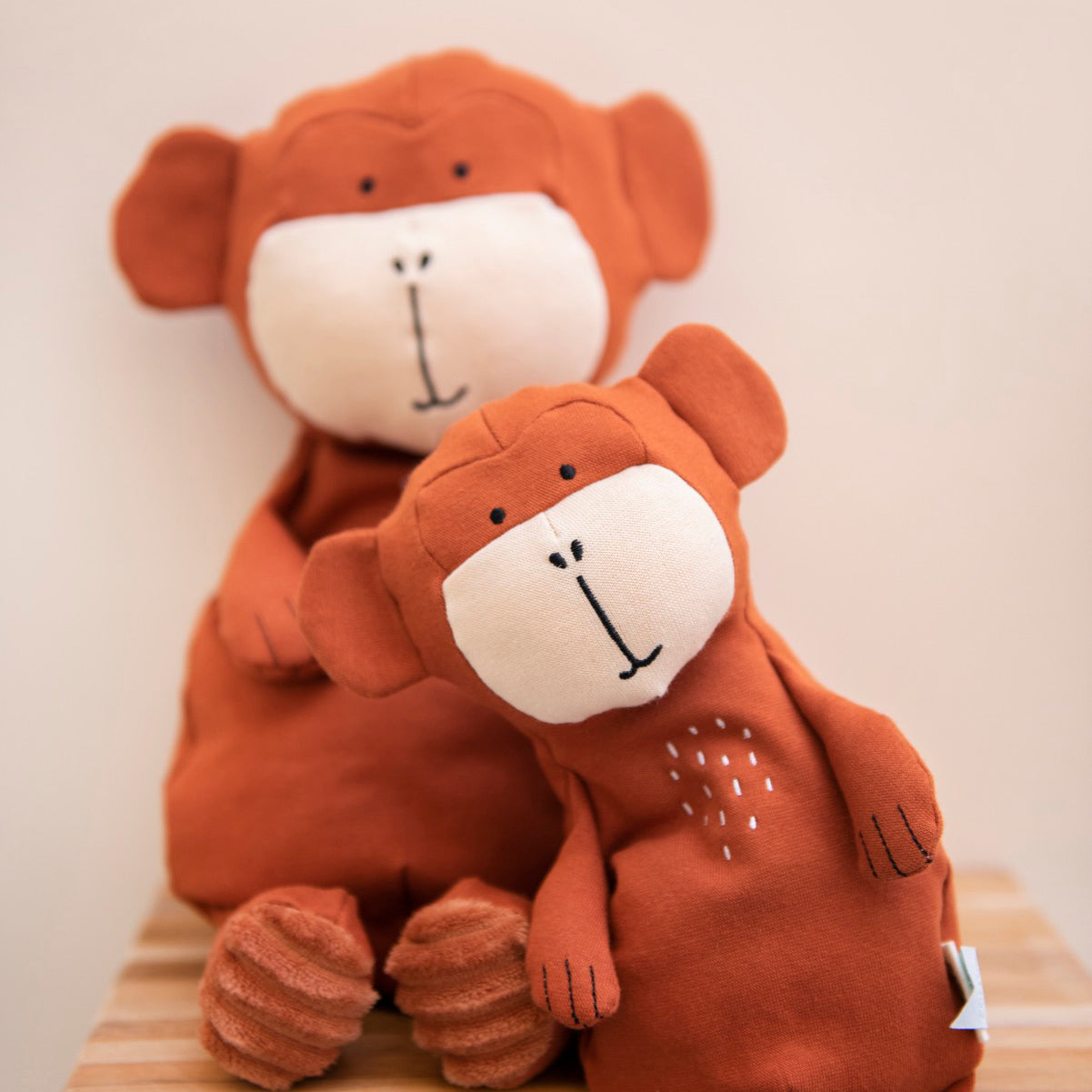 Peluche Mr. Monkey
