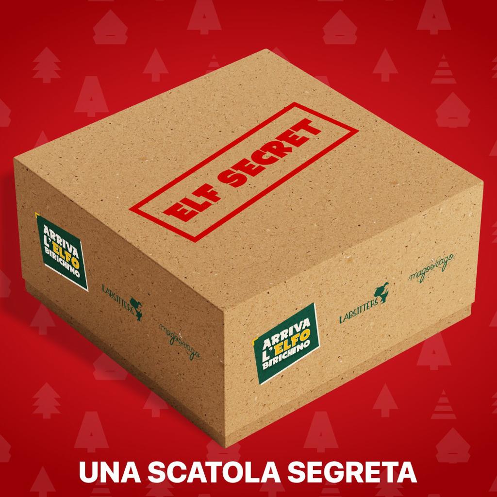 Arriva l'Elfo Birichino - Mystery box