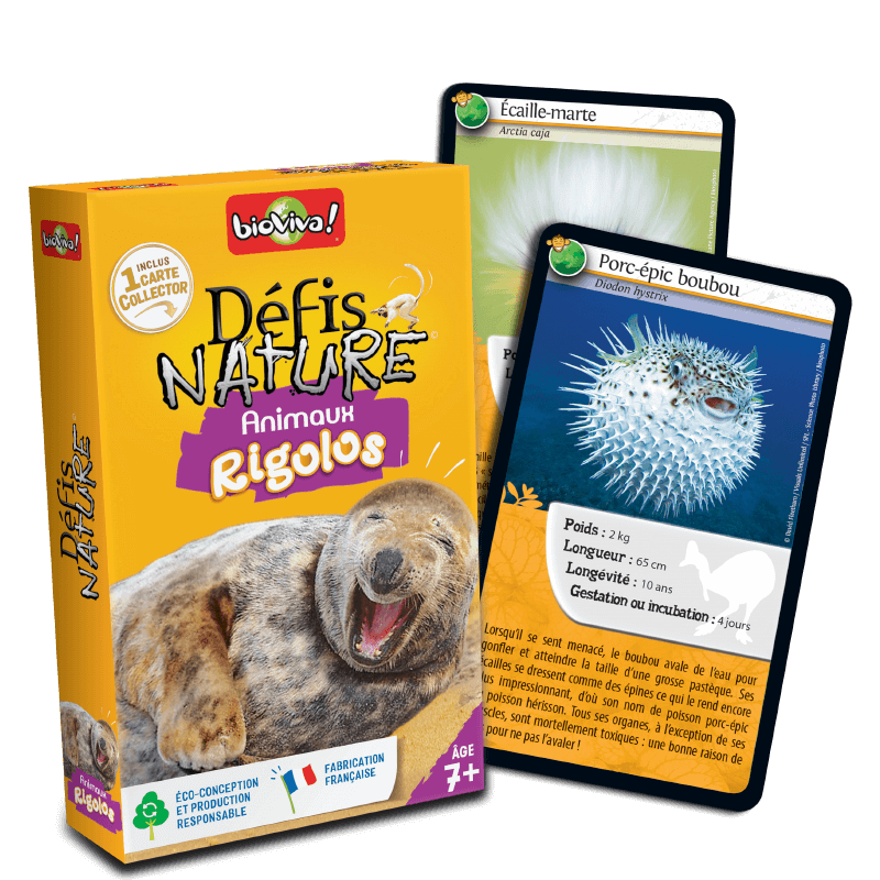 Nature Challenge - Animali divertenti