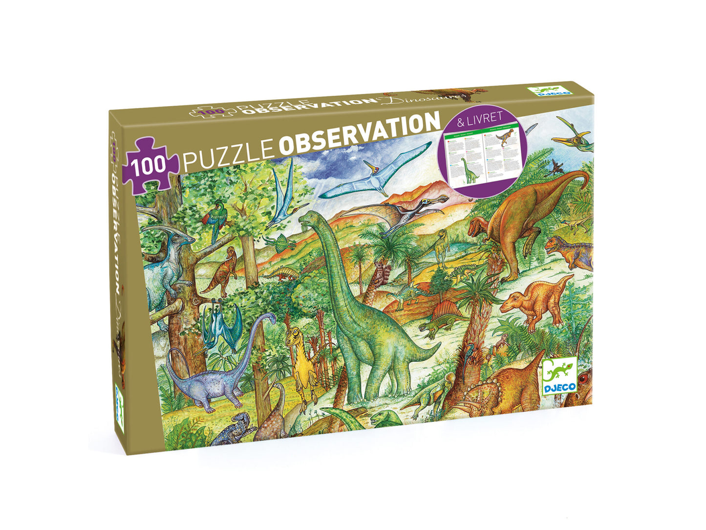 Puzzle di osservazione Dinosauri