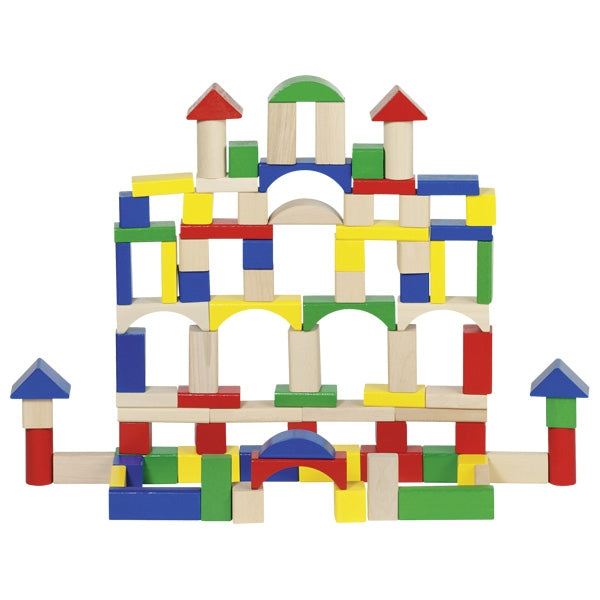 Costruzioni 100 pezzi