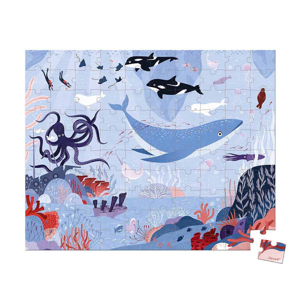 Puzzle Oceano Artico