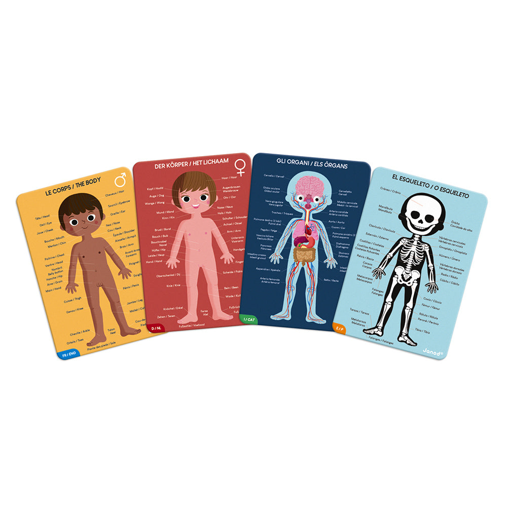 Puzzle giganti educativi Corpo umano