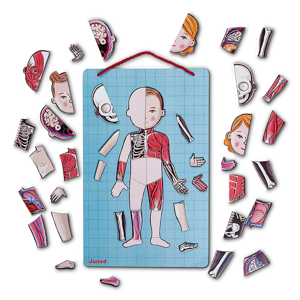 Puzzle magnetico - “Bodymagnet” Corpo magnetico