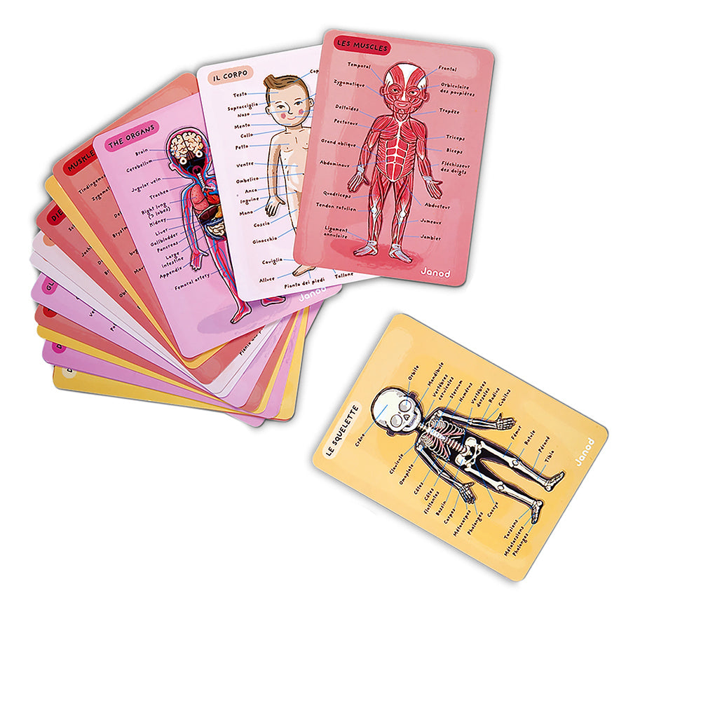 Puzzle magnetico - “Bodymagnet” Corpo magnetico