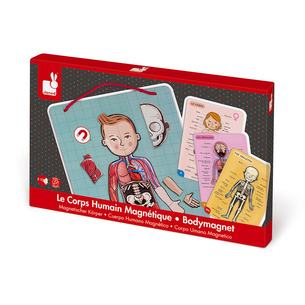 Puzzle magnetico - “Bodymagnet” Corpo magnetico
