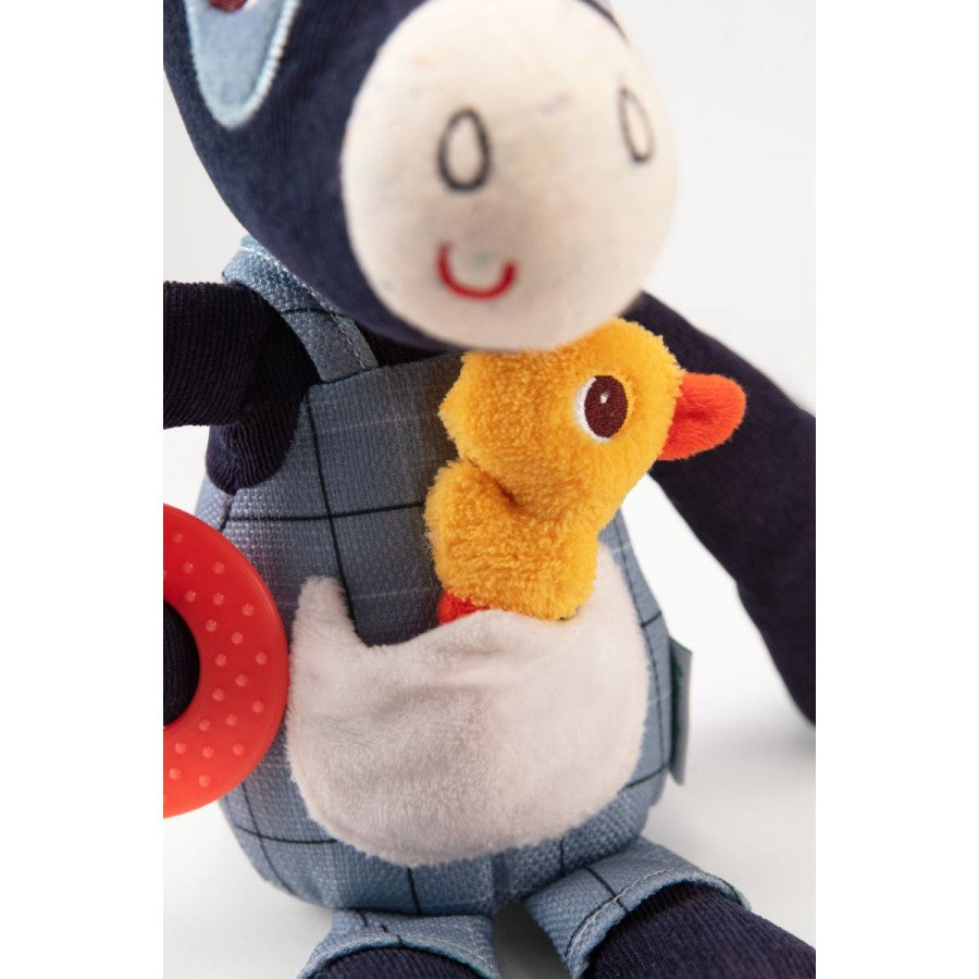Ignace Peluche attività