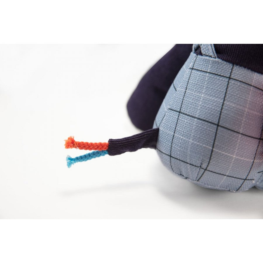 Ignace Peluche attività