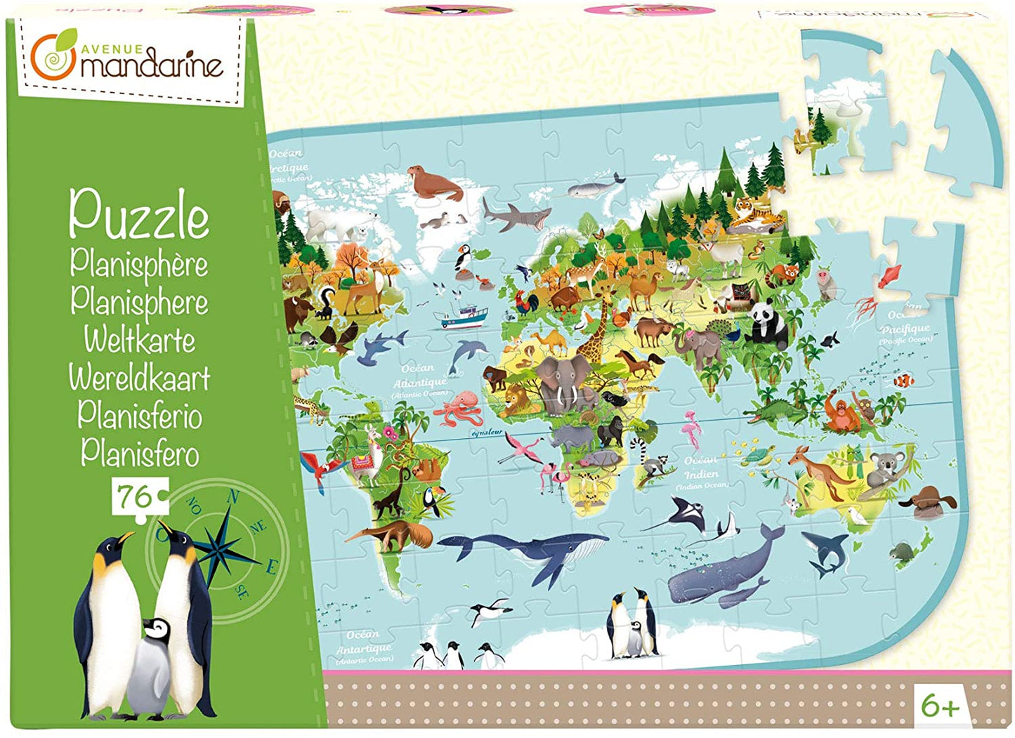 Puzzle Planisfero