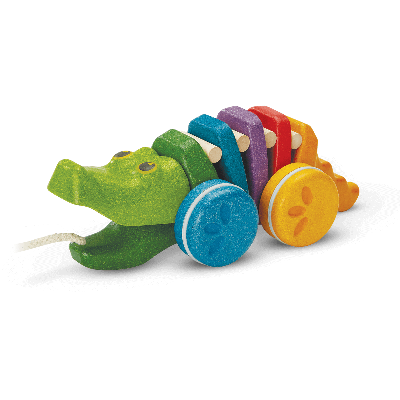 Trainabile Coccodrillo arcobaleno