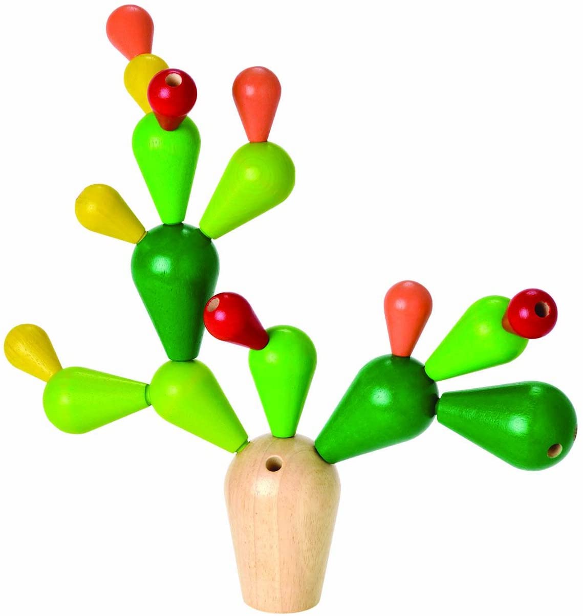 Cactus dell’equilibrio