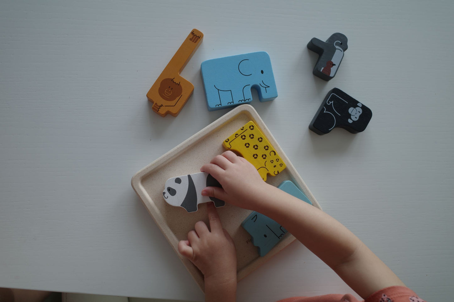 Puzzle di animali