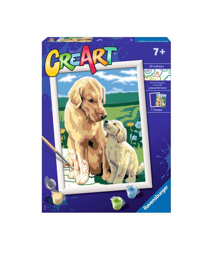 CreArt Retriever sul prato