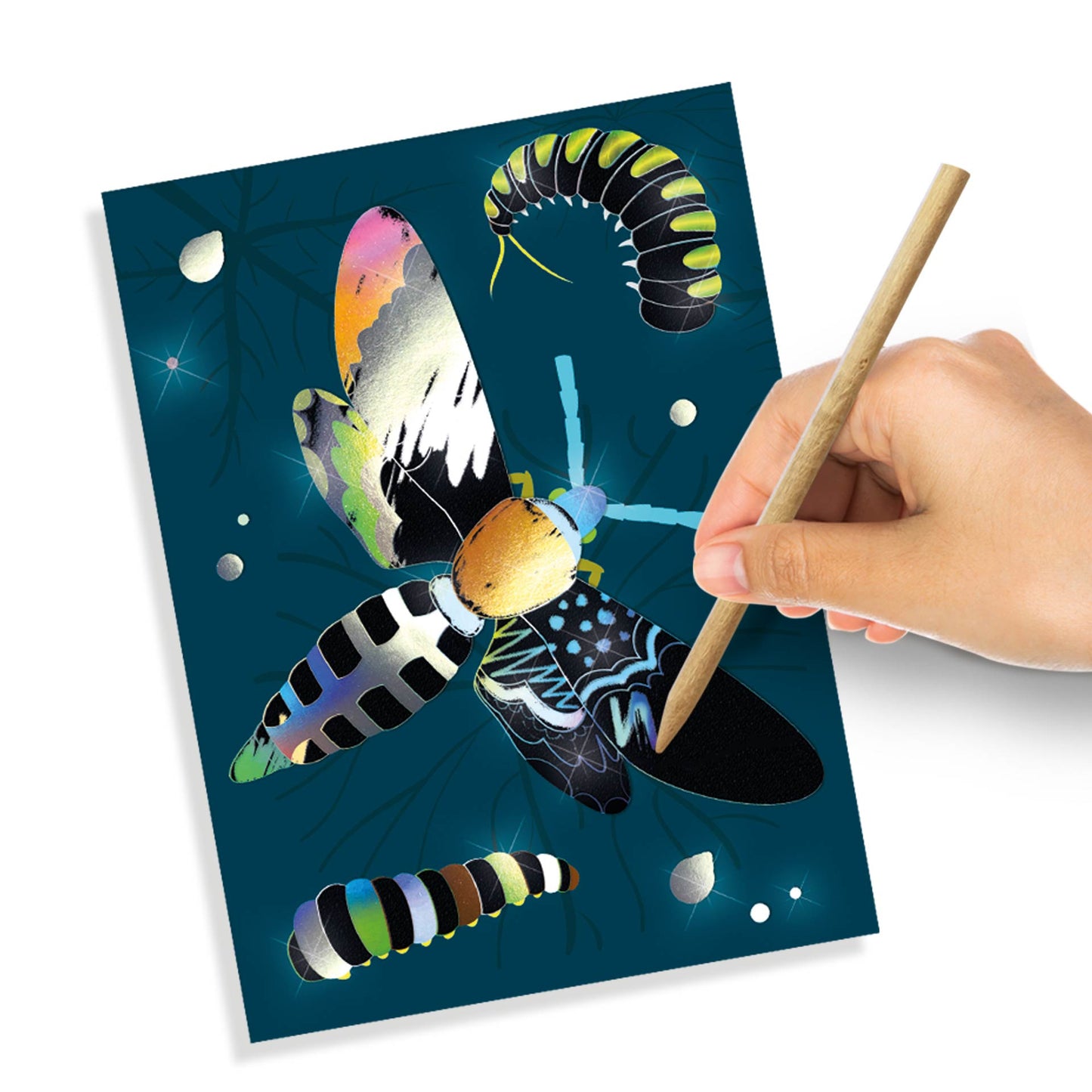 Scratch Art Holographic - Insetti