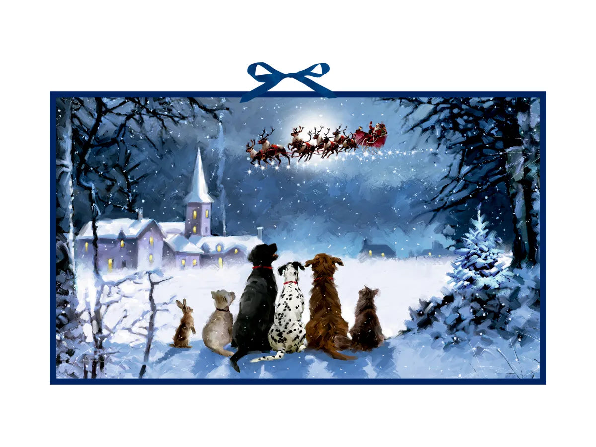 Calendario dell'avvento - Babbo Natale nel cielo