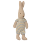 Coniglio micro
