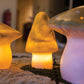 Lampada Fungo Lemongrass - Medium