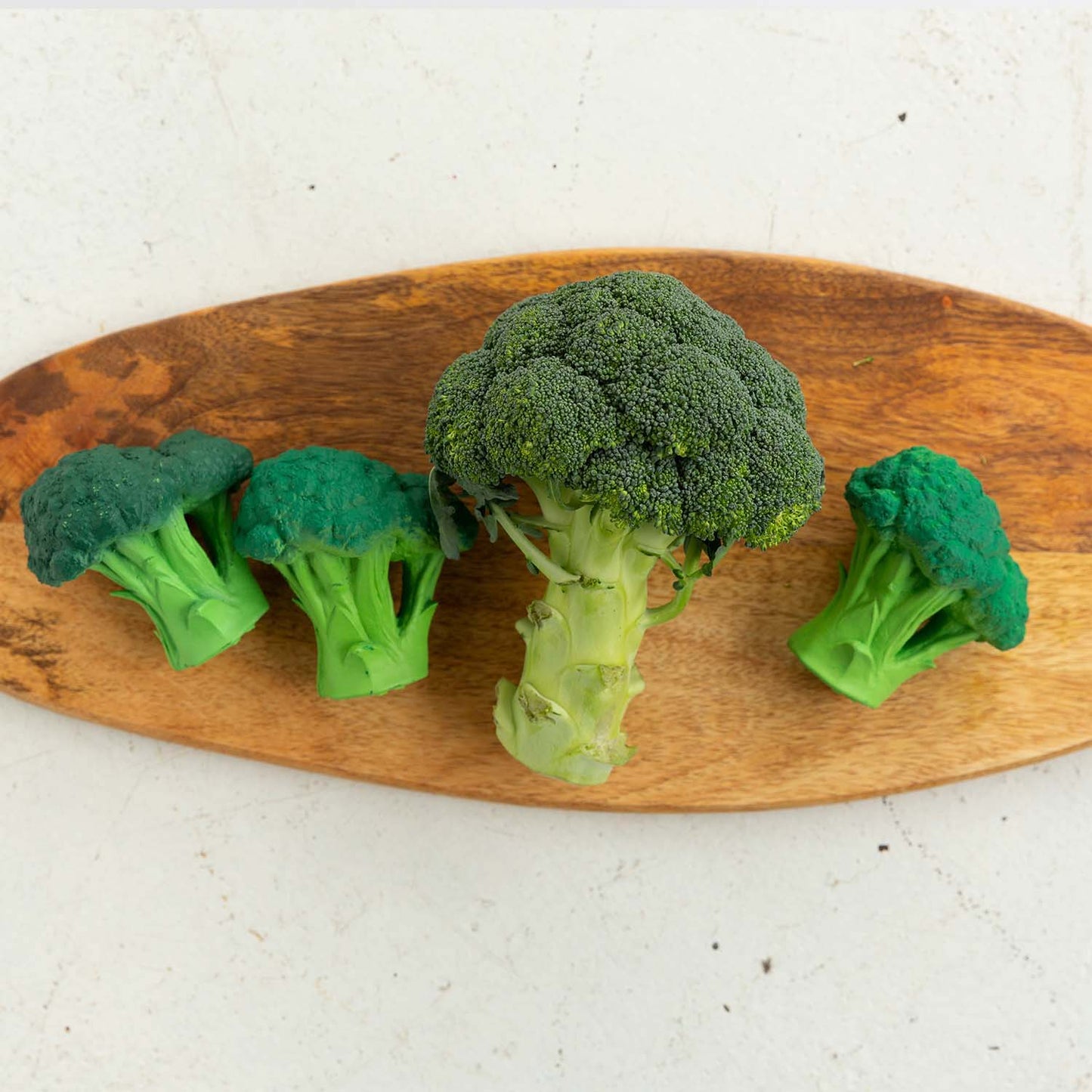 Massaggiagengive Brucy The Broccoli