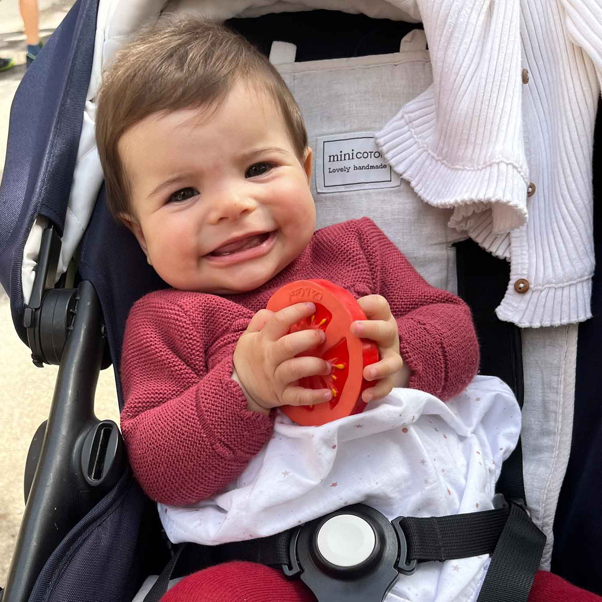 Massaggiagengive Renato The Tomato