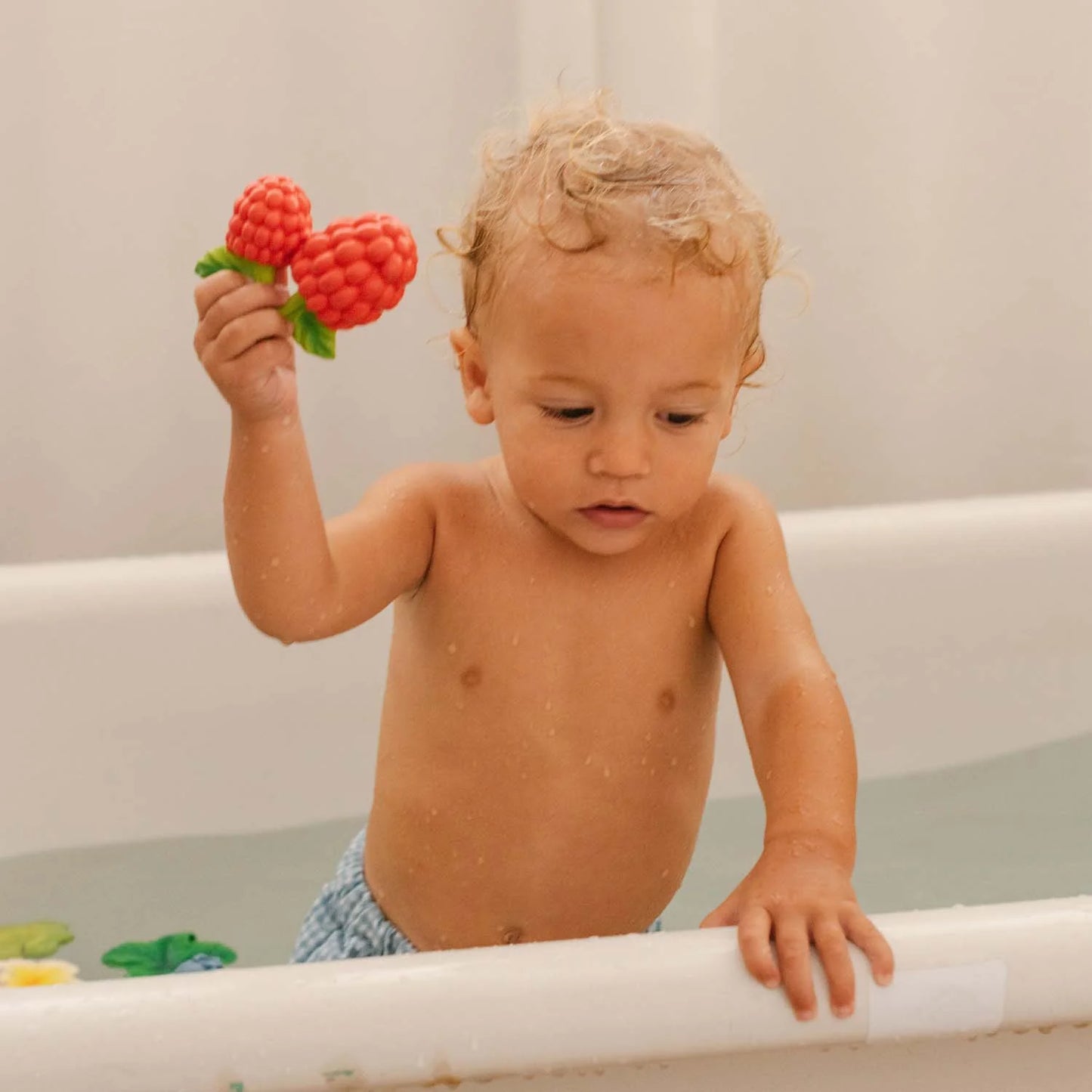 Massaggiagengive Valery The Raspberry