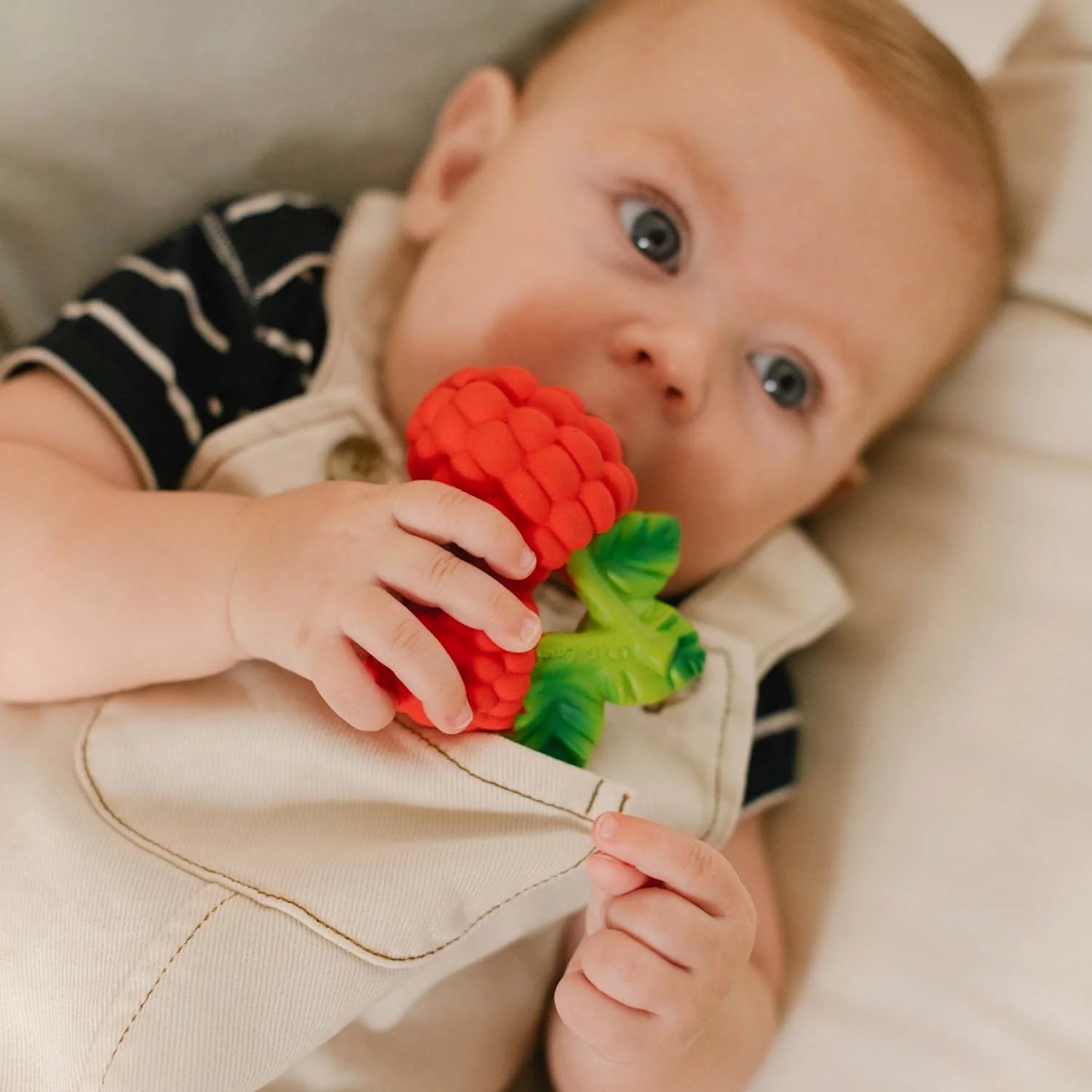 Massaggiagengive Valery The Raspberry