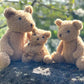 Orso Eustache - Large