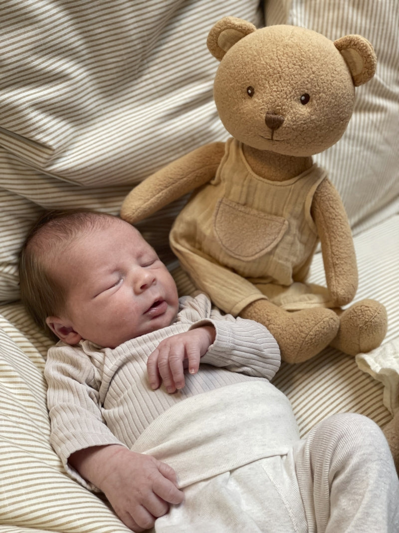 Orso Marcel - Large