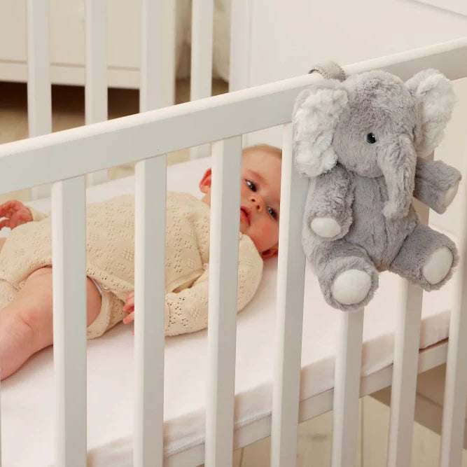 Elliot l'Elefante On the Go