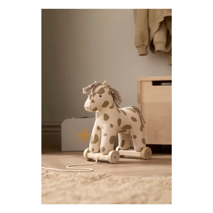 Trainabile - Cavallo Dotty