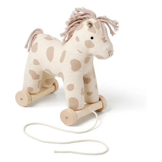 Trainabile - Cavallo Dotty