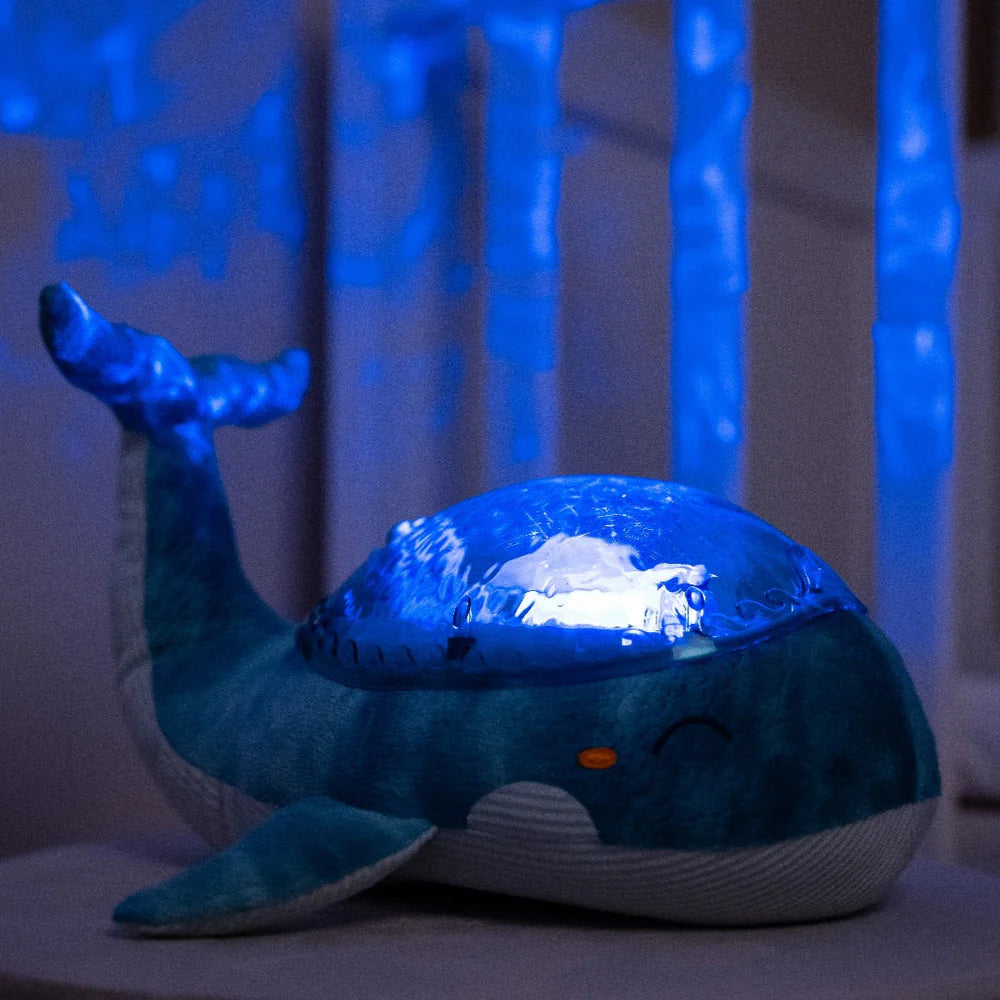Tranquil Whale