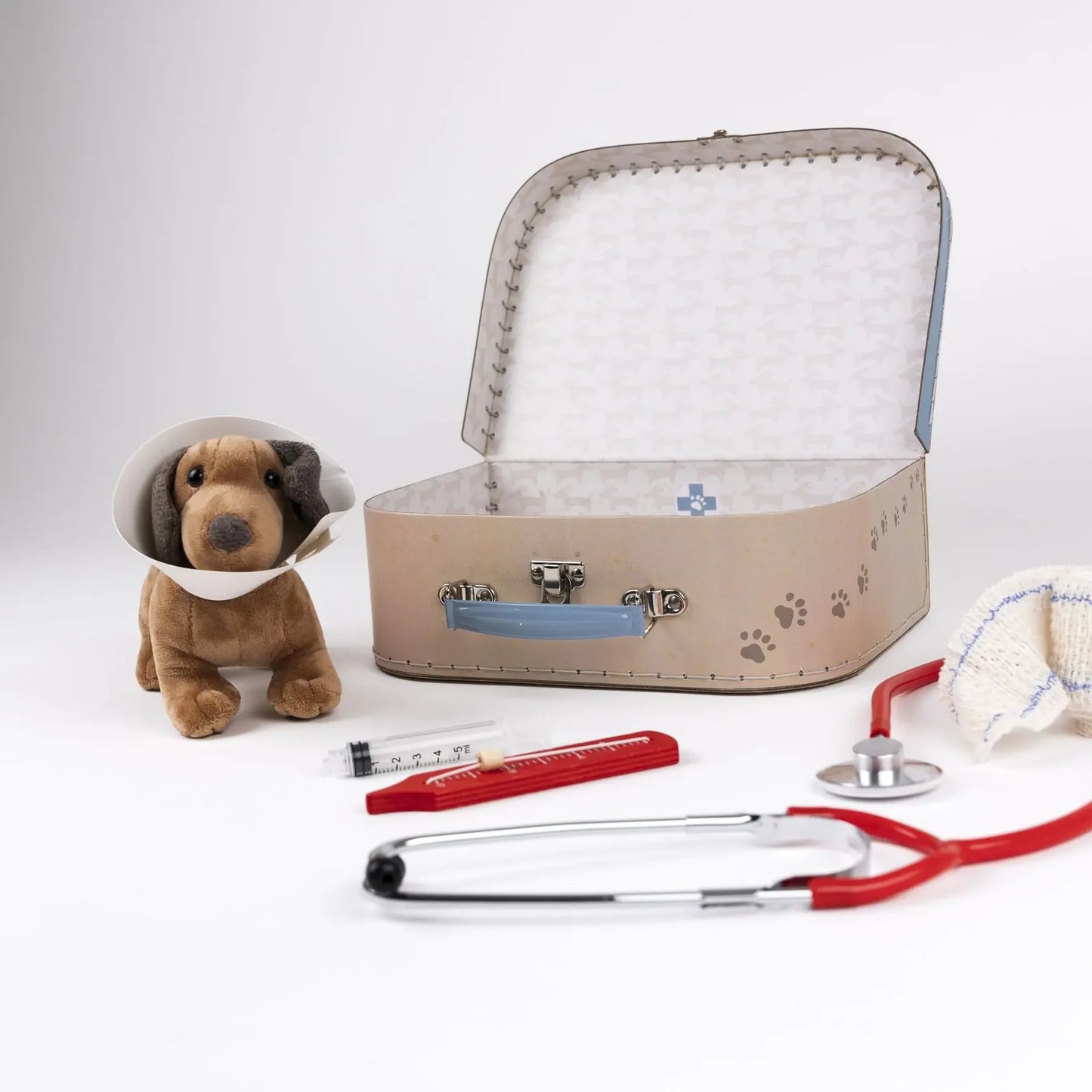 Valigia del veterinario
