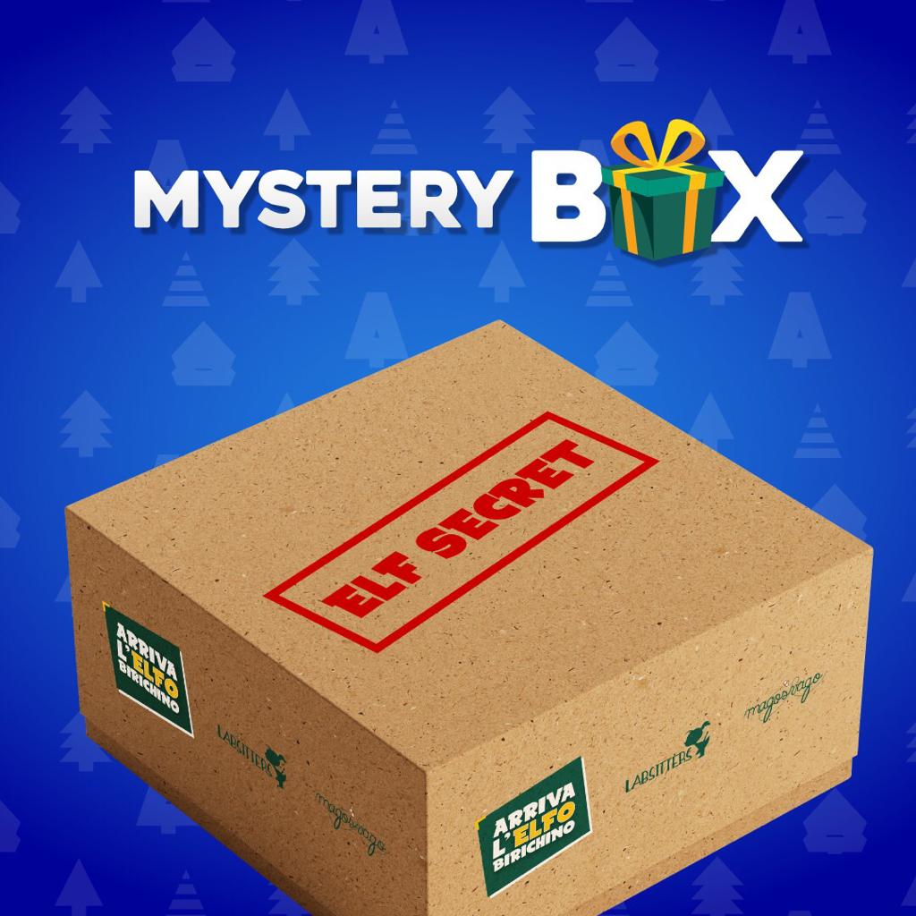 Arriva l'Elfo Birichino - Mystery box