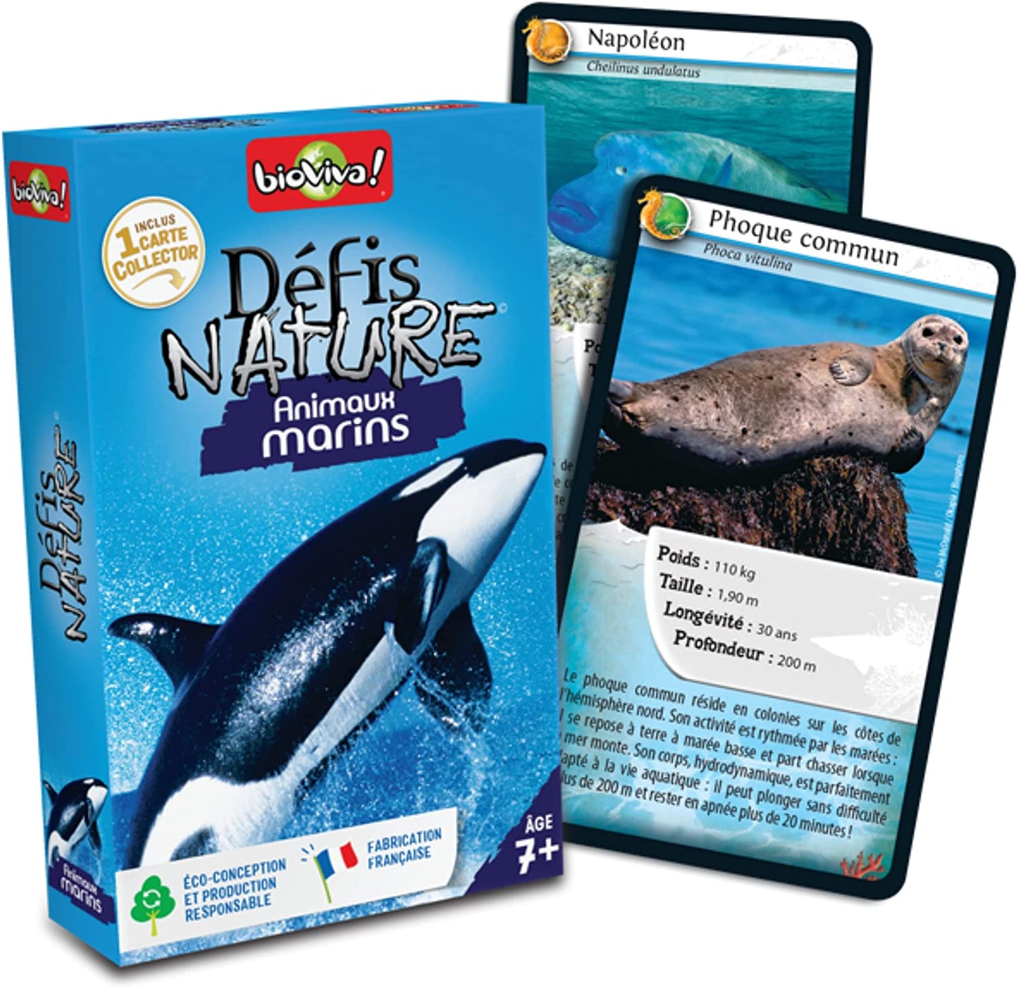 Nature Challenge - Animali marini