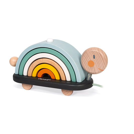 Tartaruga Arcobaleno