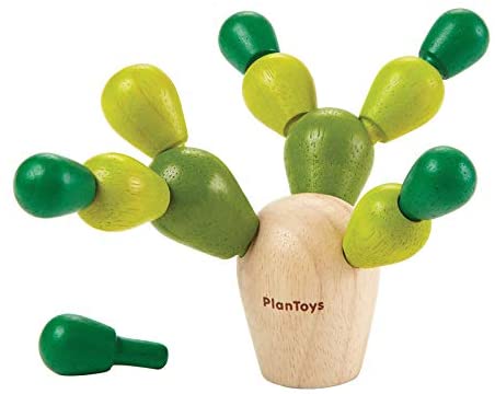 Cactus dell'equilibrio