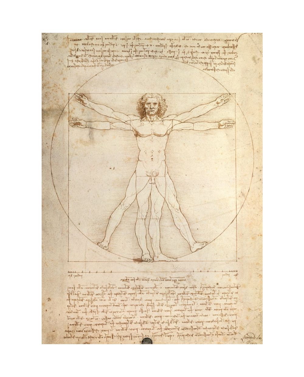 Puzzle Leonardo da Vinci L’uomo Vitruviano Ravensburger