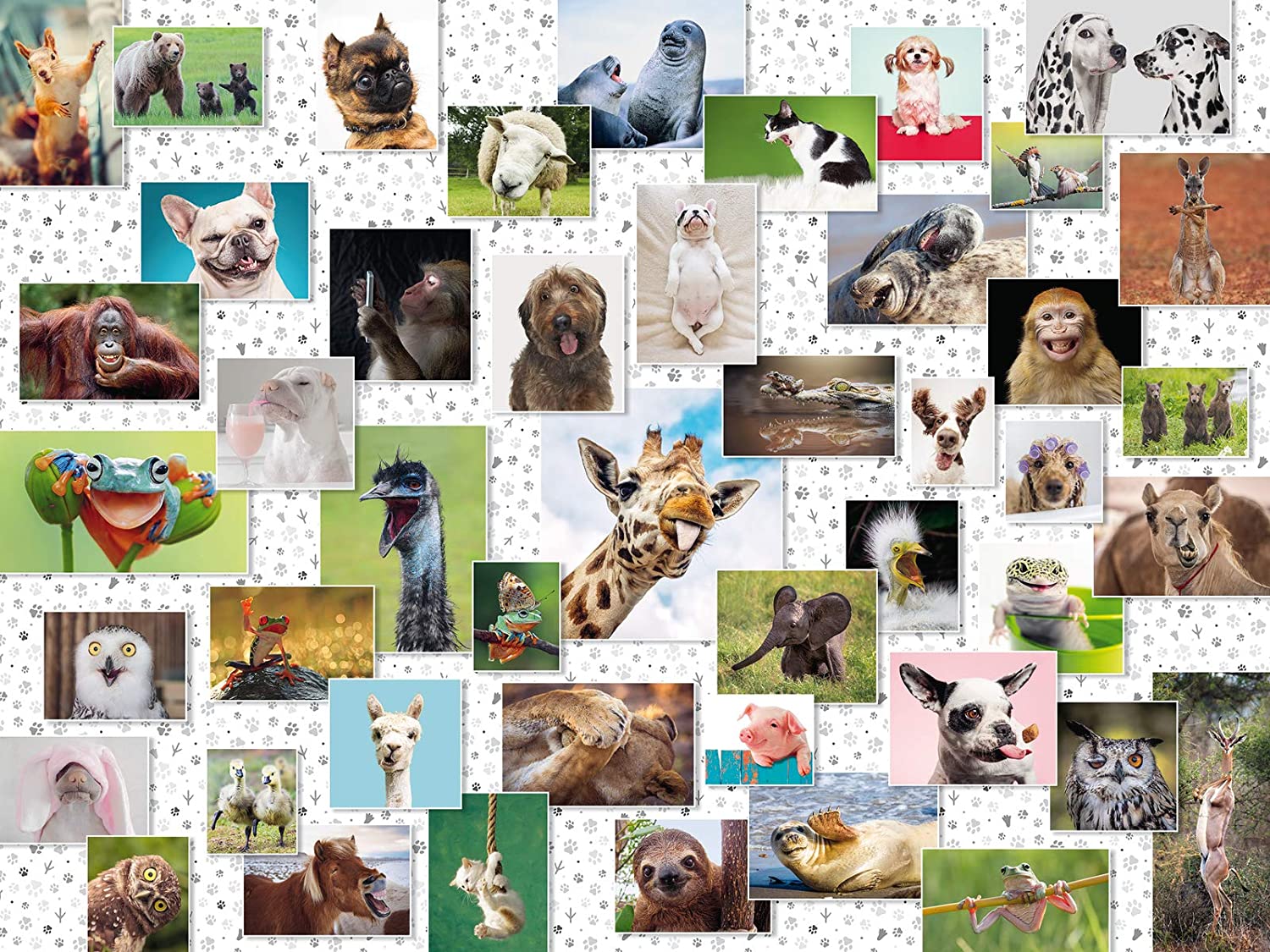 Puzzle Collage di animali divertenti Ravensburger