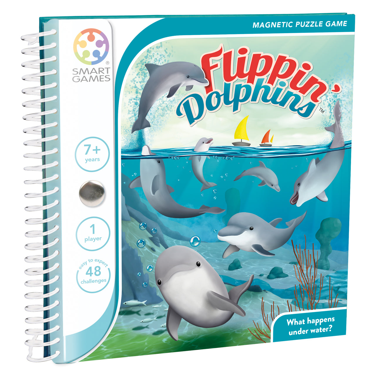 Flippin' Dolphins Smart Games